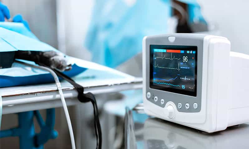 赤ちゃんのカビ感染