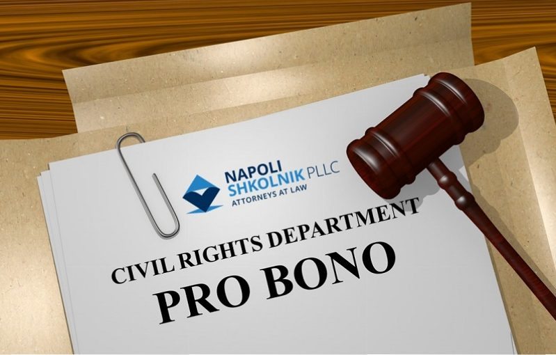 Pro Bono Civil Rights Dept e1490218068608