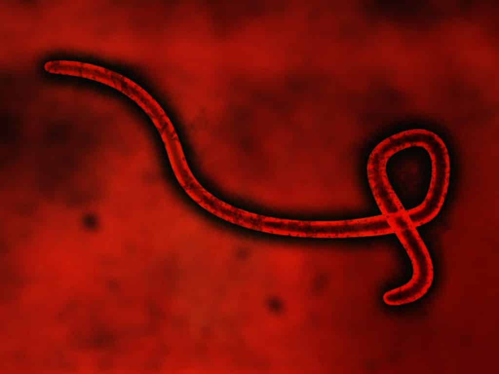 Ebola Virus on a Red background