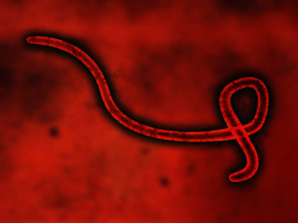 Five Fast Facts About Ebola Virus · Personal Injury