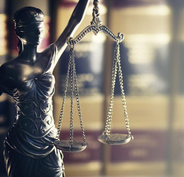 ice lady justice e1771951681369