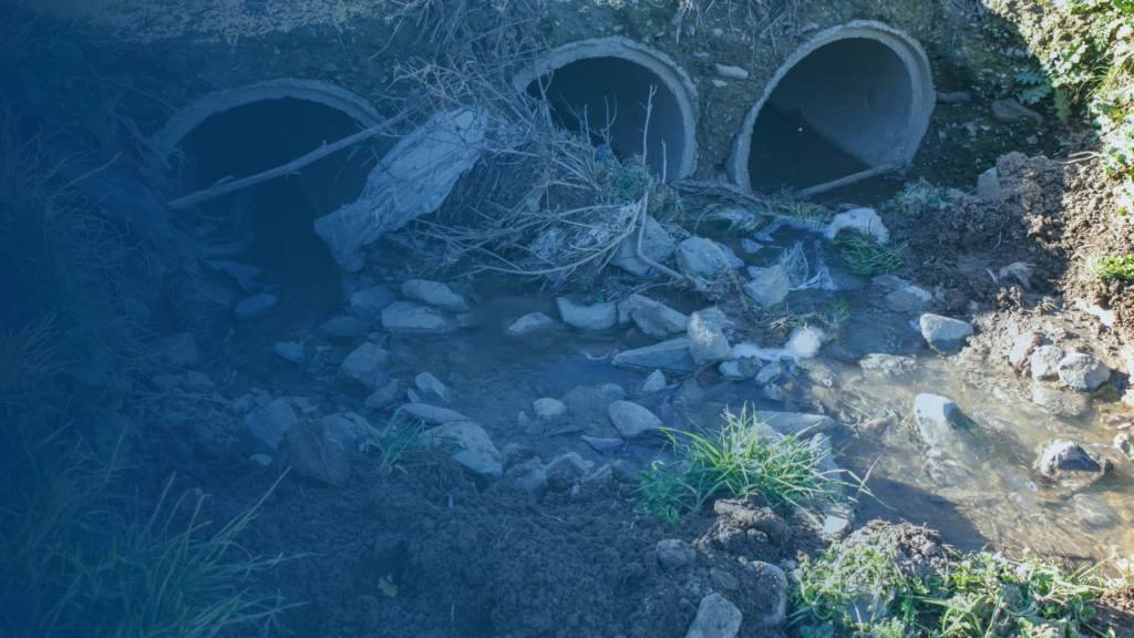 Contamination blog