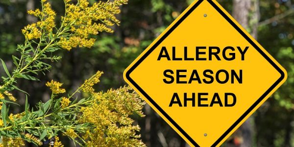 Allergies: Common Causes, Symptoms, and Treatment