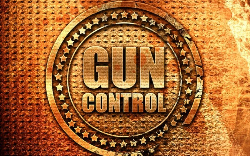 Gun Control – Who’s Liable?