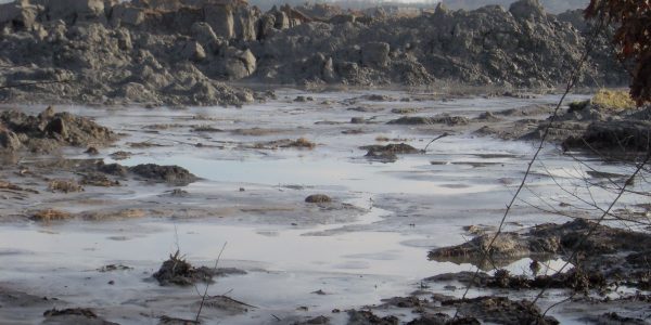 Lasting Impact of the Kingston Fossil Plant Coal Ash Spill