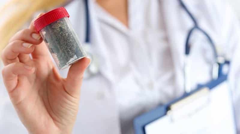 Medical Marijuana Legislation
