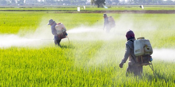 The Dangerous Consequences of Pesticide Exposure